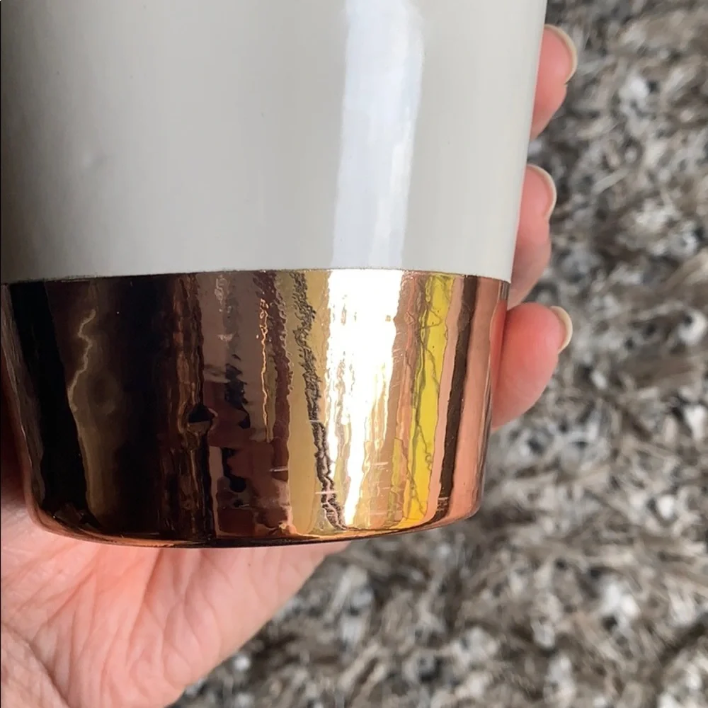 Rose‎ gold Succulent ceramic and metallic plant pot